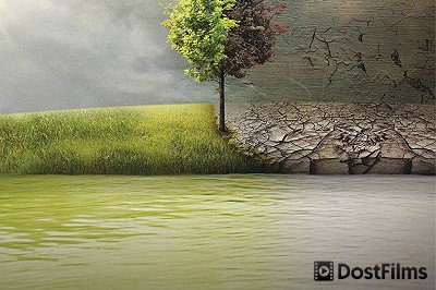 Смотреть Документальные фильмы в HD Смотреть Документальные фильмы