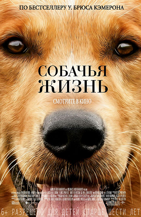 Собачья жизнь