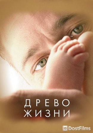 Древо жизни