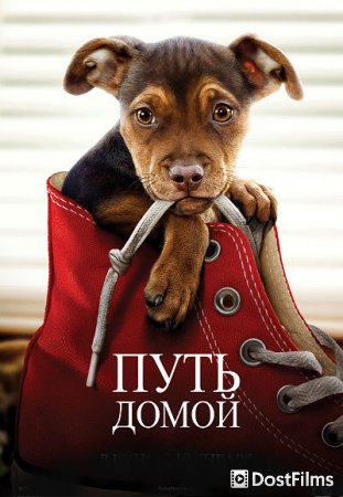 Путь домой