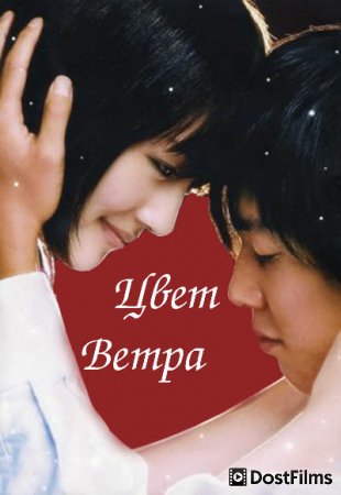 Цвета ветра