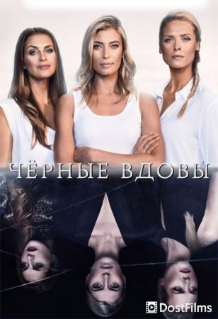 Черные вдовы