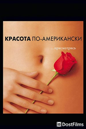 Красота по-американски