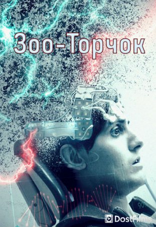 Зоо-торчок