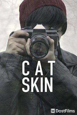 Шкура кота