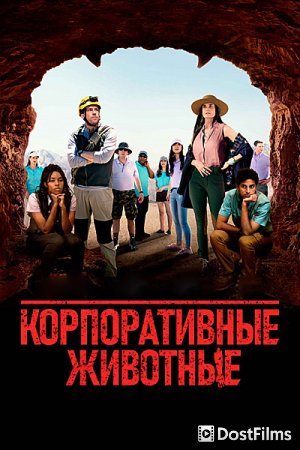 Корпоративные животные