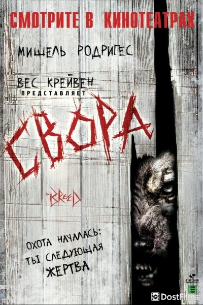 Свора