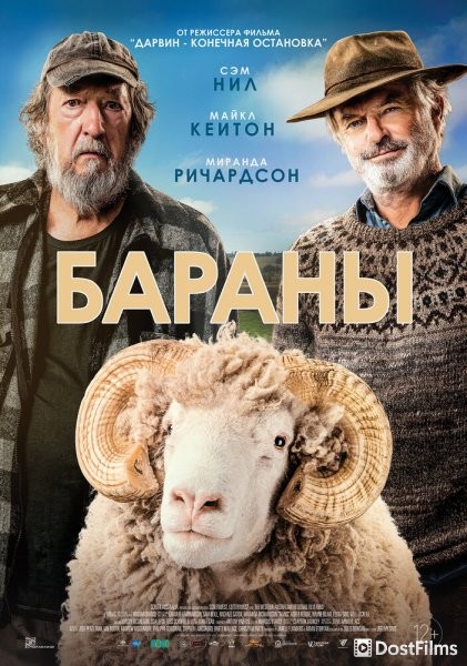 Бараны
