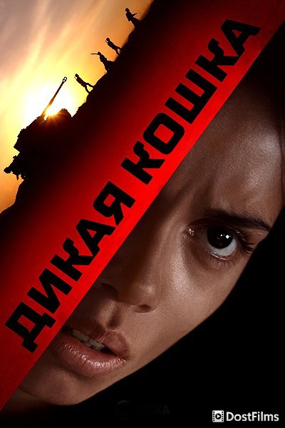 Дикая кошка (2021)