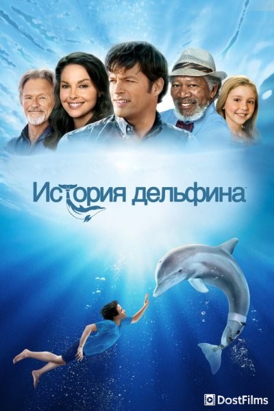 История дельфина