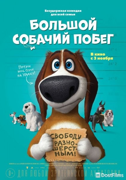 Большой собачий побег