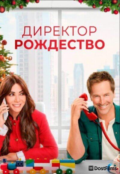 Директор Рождество