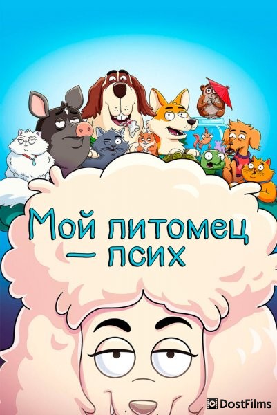 К лотку приучены