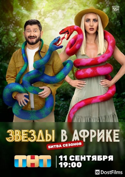 Звёзды в Африке