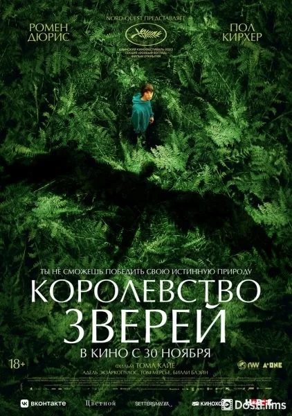 Королевство зверей