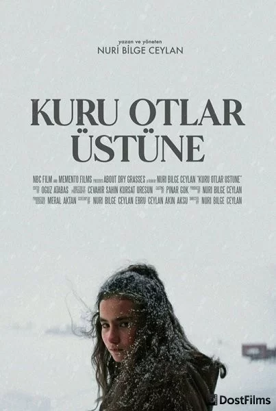 О сухой траве