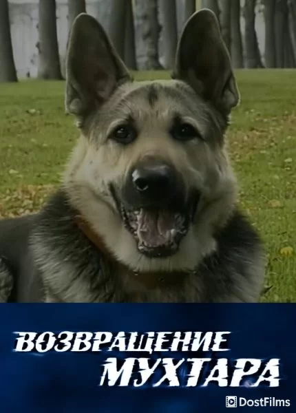 Возвращение Мухтара