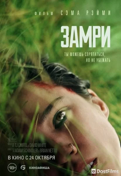 Замри